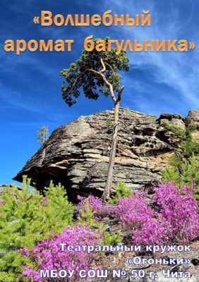 Звездная волна 2019 слайд 3
